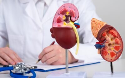 How Do I Increase Kidney Function