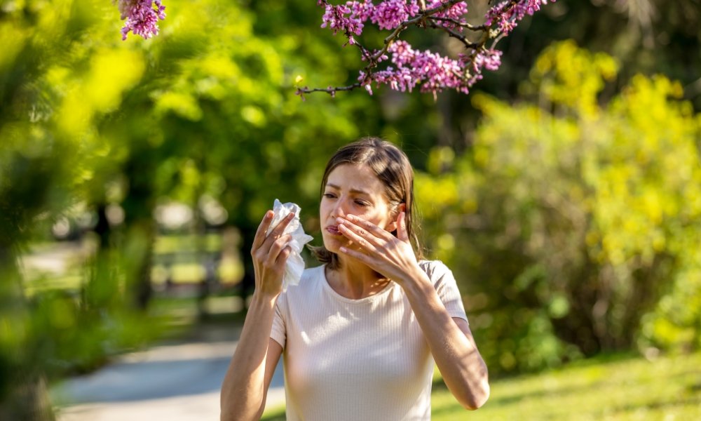 Comparison of allergy symptoms, sinus infection symptoms, and common cold symptoms affecting the nose and sinuses
